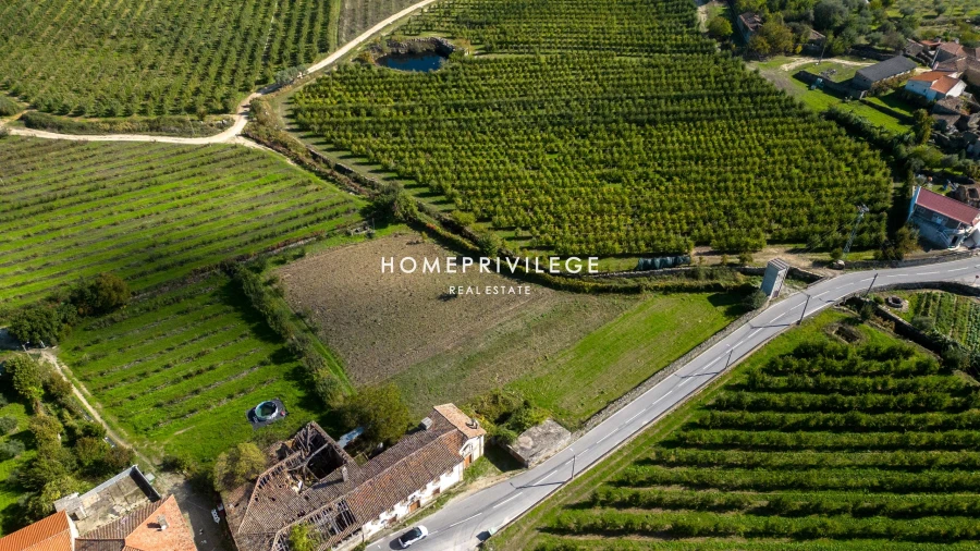 Quinta T4 para Venda em Carrazeda de Ansiães Foto 1