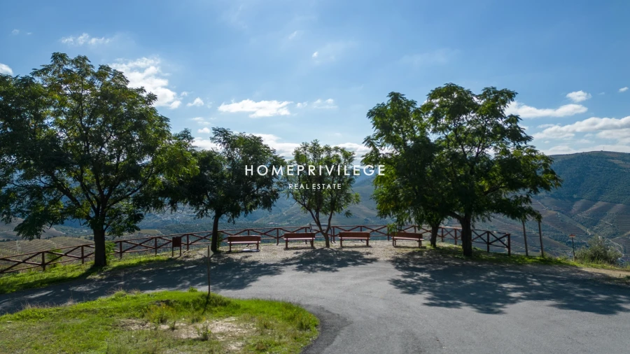 Quinta T4 para Venda em Carrazeda de Ansiães Foto 42