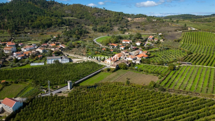 Quinta T4 para Venda em Carrazeda de Ansiães Foto 20
