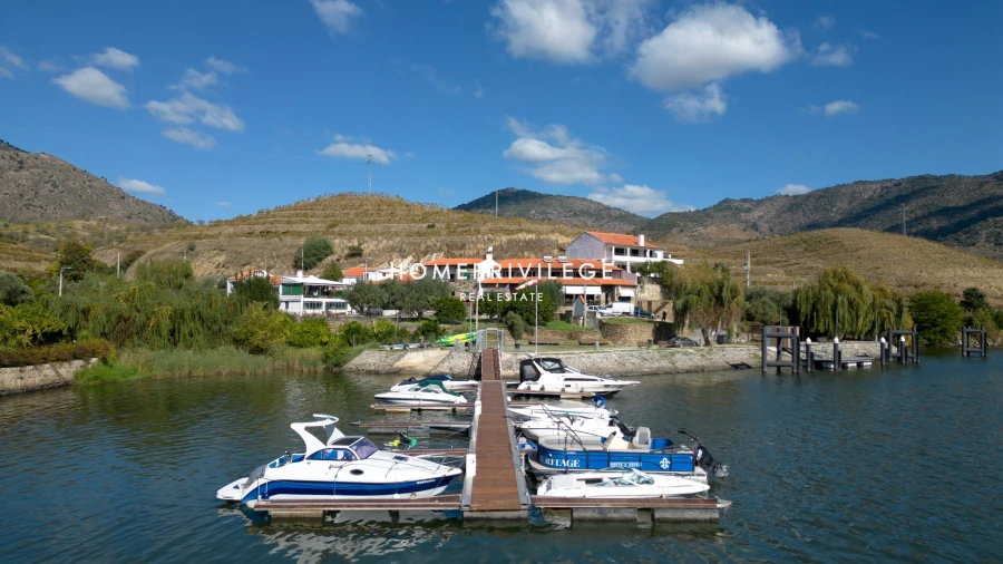 Quinta T4 para Venda em Carrazeda de Ansiães Foto 48