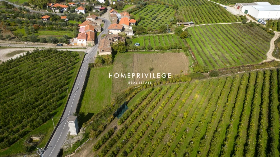Quinta T4 para Venda em Carrazeda de Ansiães Foto 12