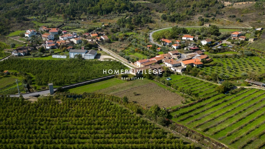 Quinta T4 para Venda em Carrazeda de Ansiães Foto 16