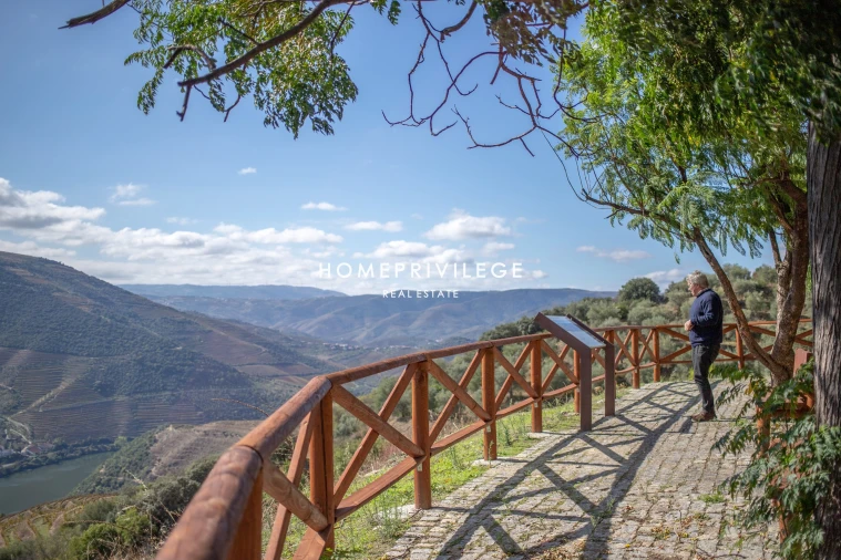 Quinta T4 para Venda em Carrazeda de Ansiães Foto 34