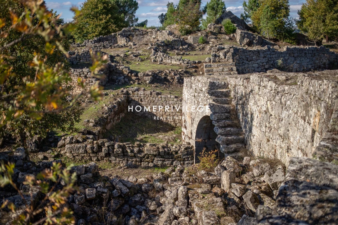 Quinta T4 para Venda em Carrazeda de Ansiães Foto 40