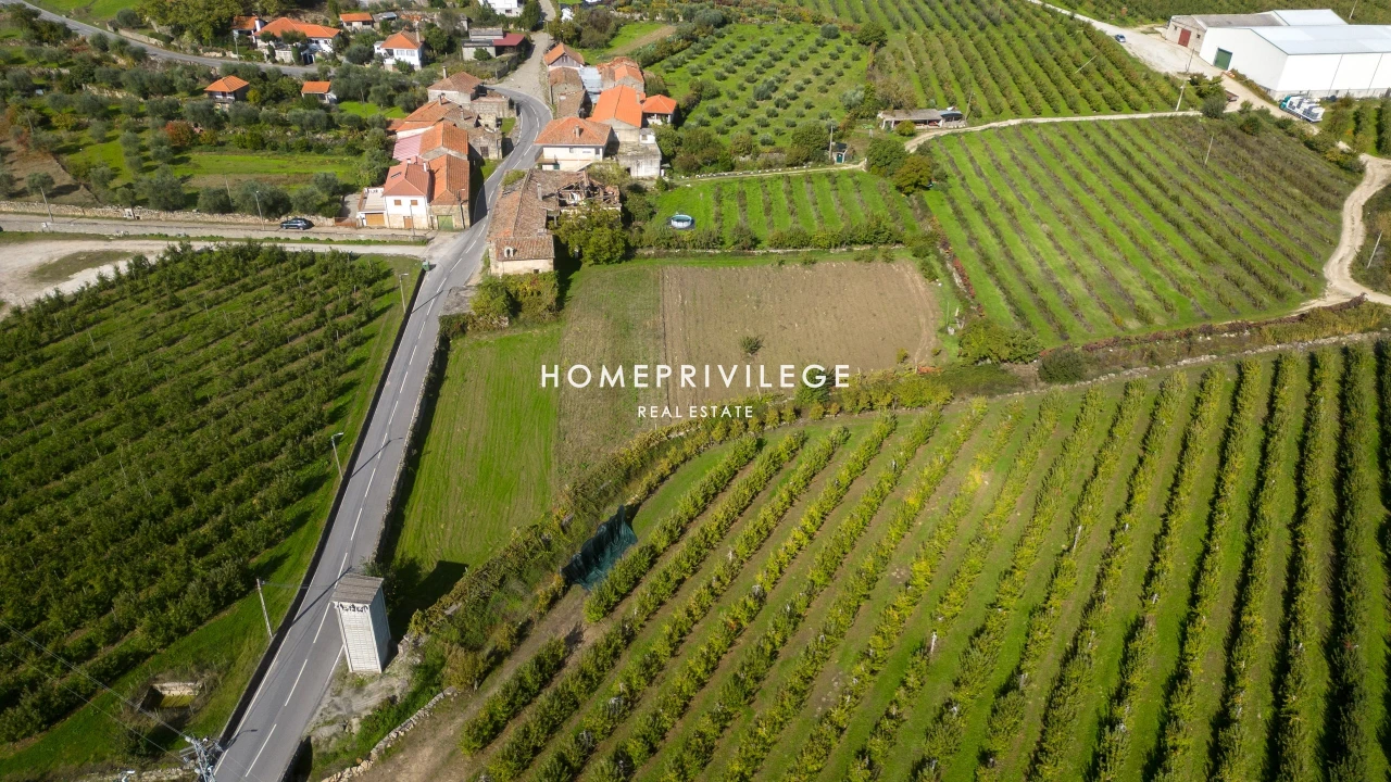 Quinta T4 para Venda em Carrazeda de Ansiães Foto 12