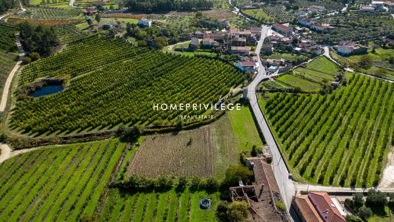 Quinta T4 para Venda em Carrazeda de Ansiães Foto 18