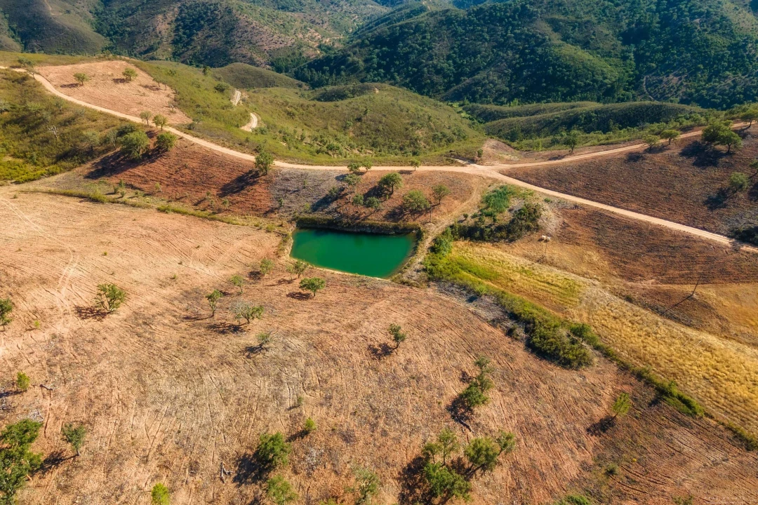 Quinta T2 para Venda em Salir Foto 9