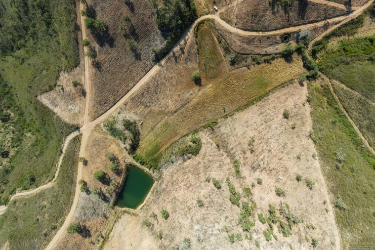 Quinta T2 para Venda em Salir Foto 13