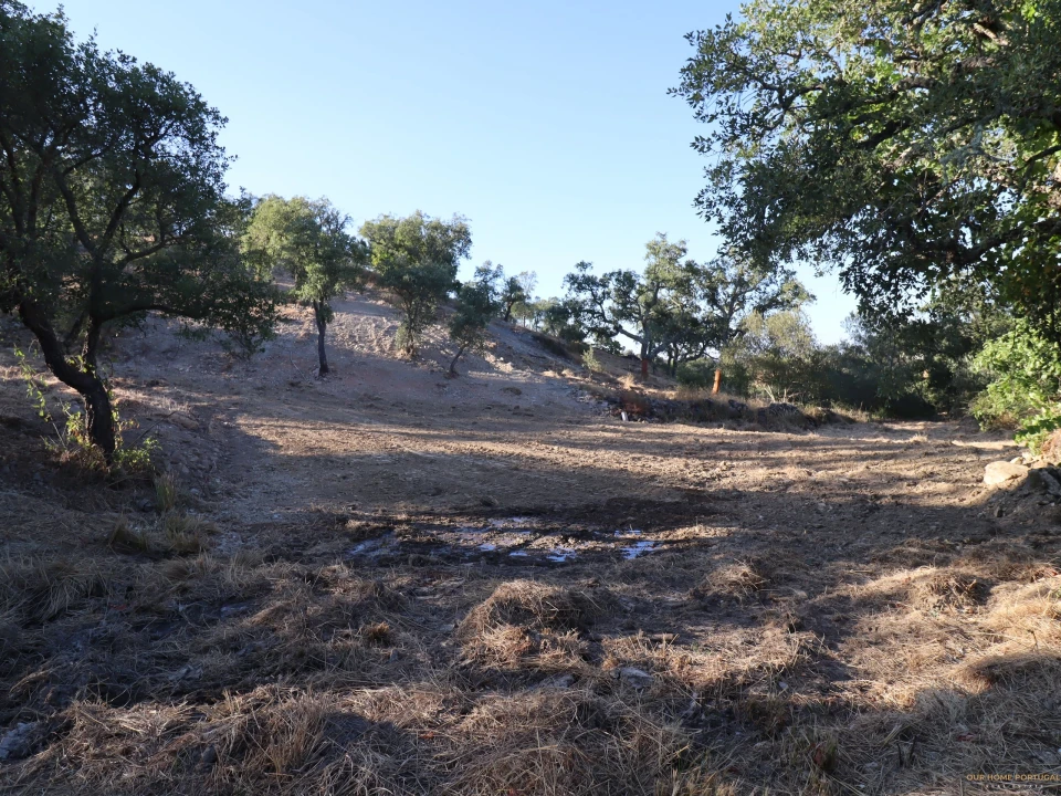 Terreno para Venda em Salir Foto 7
