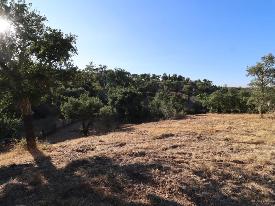 Terreno para Venda em Salir Foto 4
