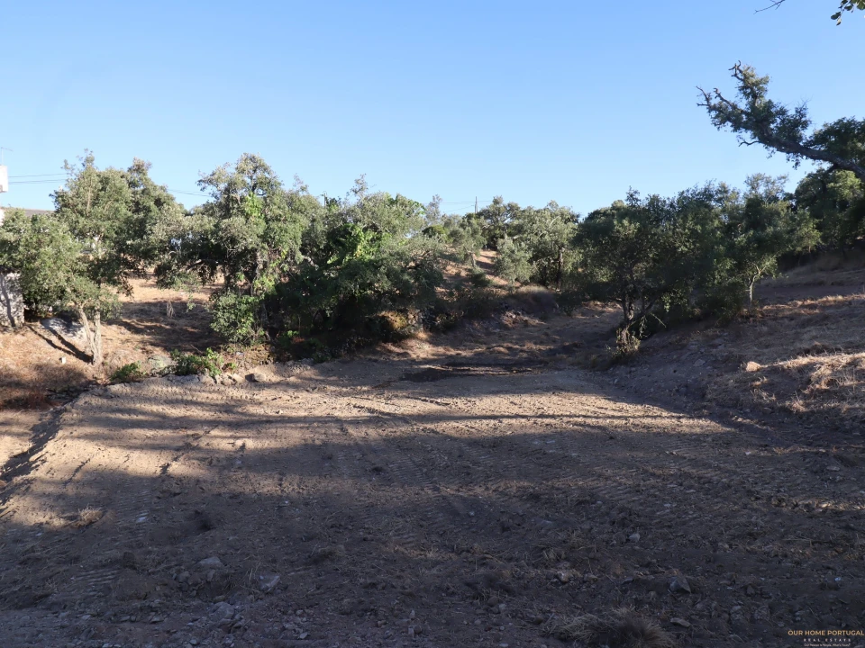 Terreno para Venda em Salir Foto 11