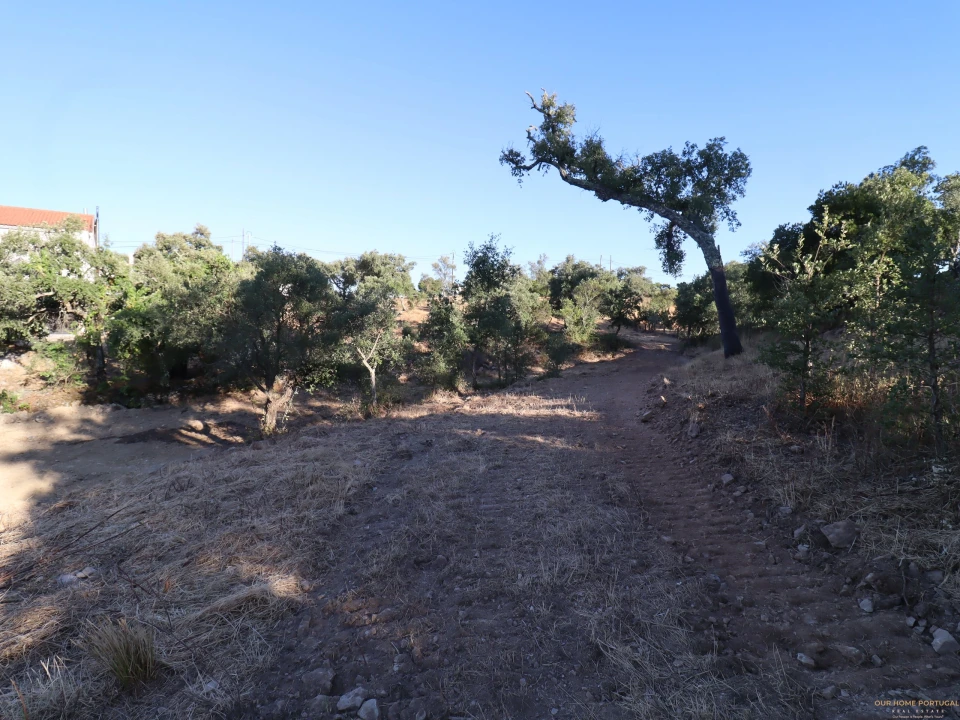 Terreno para Venda em Salir Foto 26
