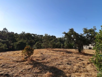 Terreno para Venda em Salir