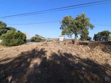 Terreno para Venda em Salir