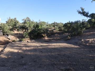 Terreno para Venda em Salir