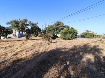 Terreno para Venda em Salir