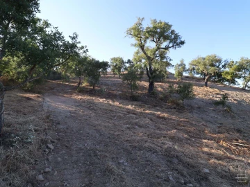 Terreno para Venda em Salir