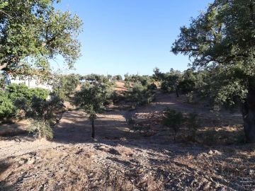 Terreno para Venda em Salir