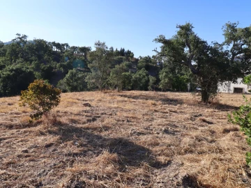 Terreno para Venda em Salir