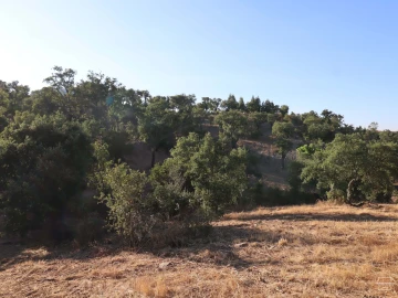 Terreno para Venda em Salir
