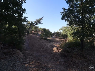 Terreno para Venda em Salir