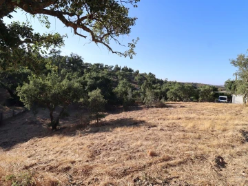 Terreno para Venda em Salir