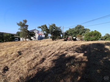 Terreno para Venda em Salir
