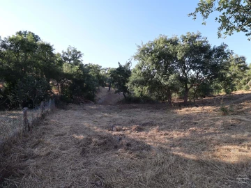 Terreno para Venda em Salir