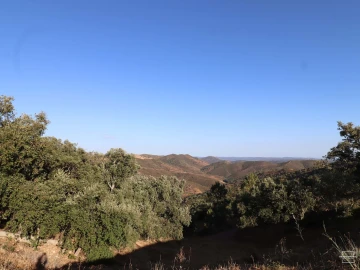 Terreno para Venda em Salir