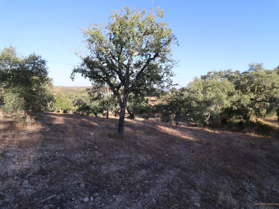 Terreno para Venda em Salir Foto 23