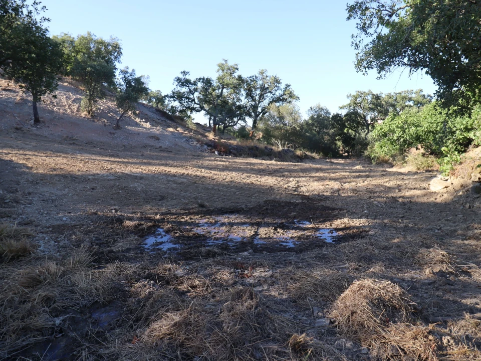 Terreno para Venda em Salir Foto 10