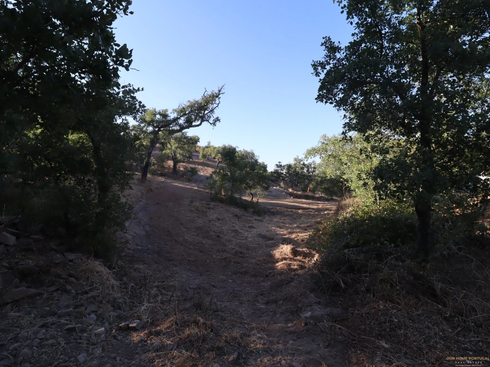 Terreno para Venda em Salir Foto 15