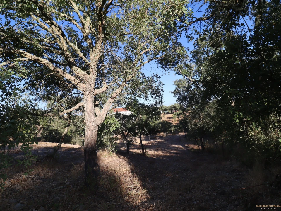 Terreno para Venda em Salir Foto 24