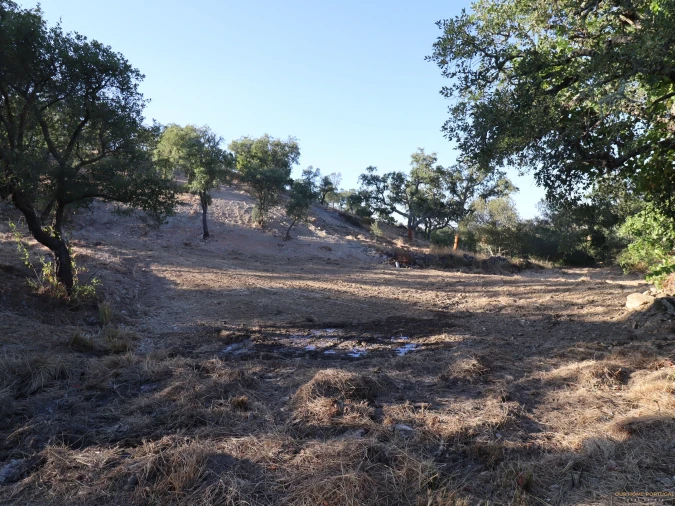Terreno para Venda em Salir Foto 7