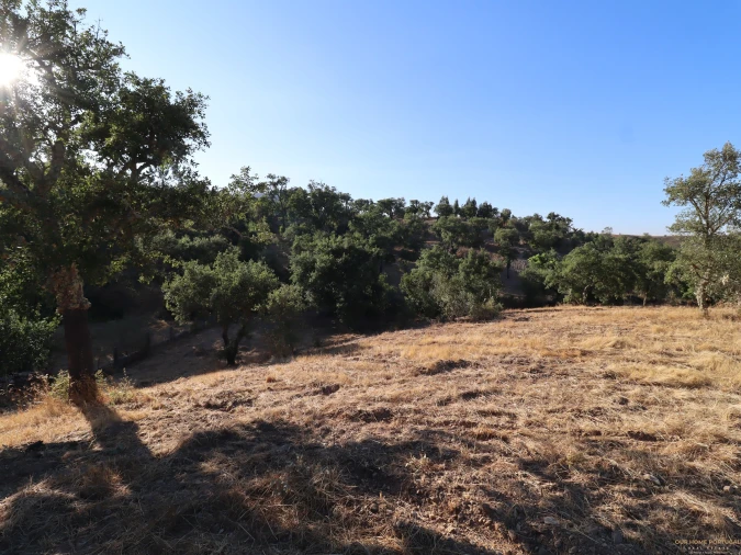 Terreno para Venda em Salir Foto 4