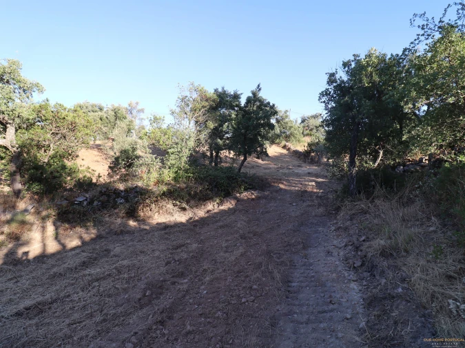 Terreno para Venda em Salir Foto 27