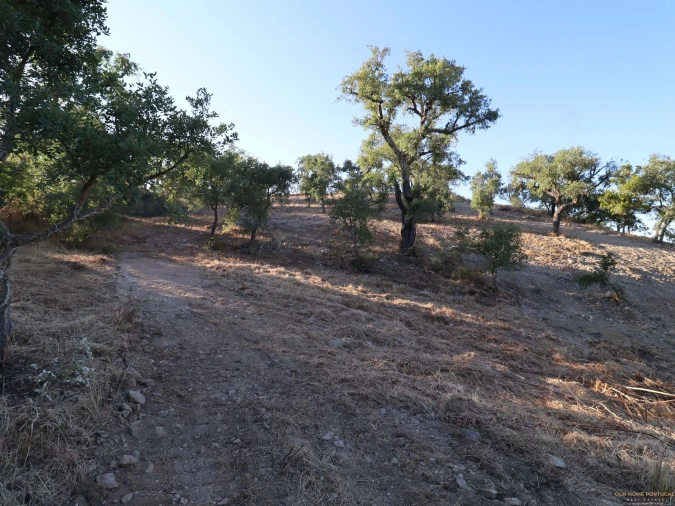Terreno para Venda em Salir Foto 28