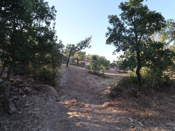 Terreno para Venda em Salir Foto 30