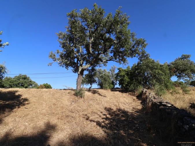Terreno para Venda em Salir Foto 9