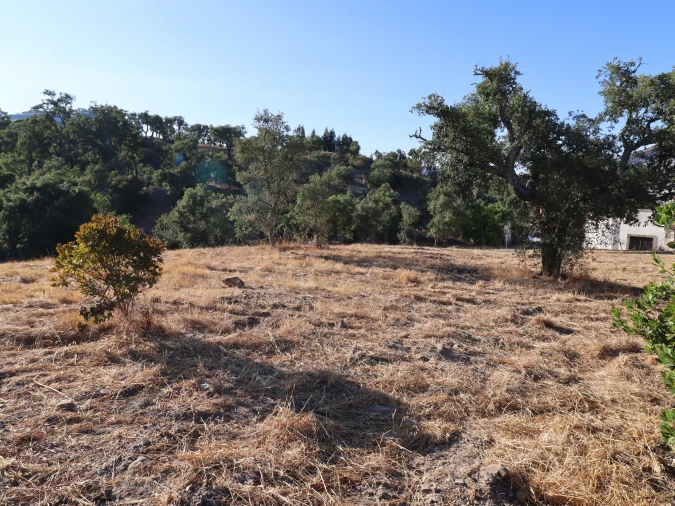 Terreno para Venda em Salir Foto 3