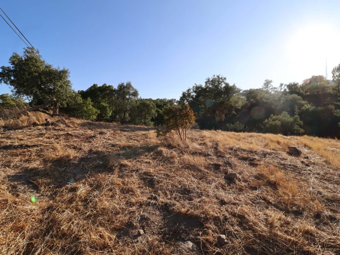 Terreno para Venda em Salir Foto 34