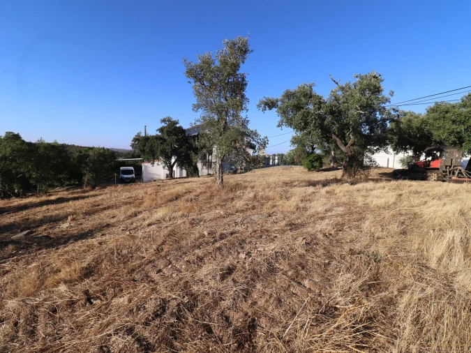 Terreno para Venda em Salir Foto 32