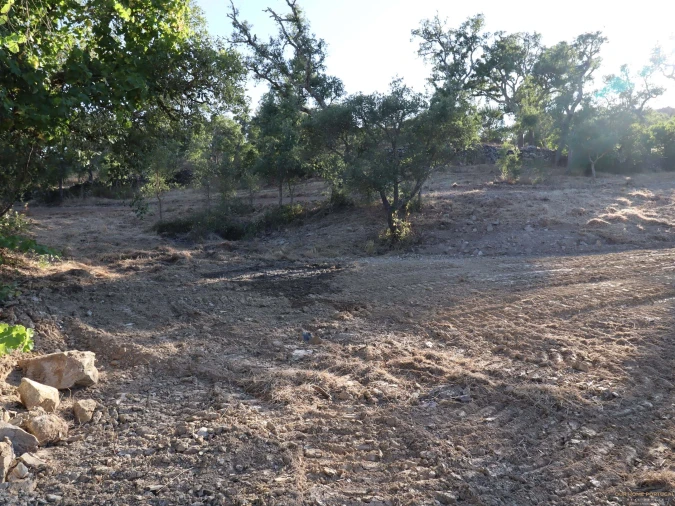 Terreno para Venda em Salir Foto 17