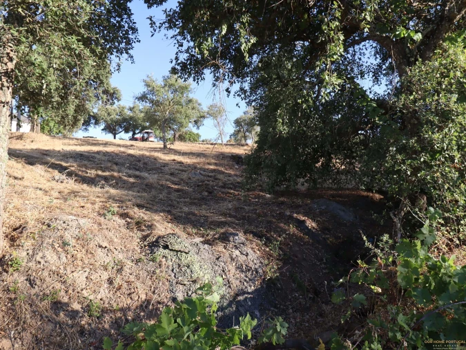 Terreno para Venda em Salir Foto 18