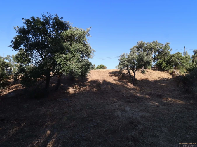 Terreno para Venda em Salir Foto 31