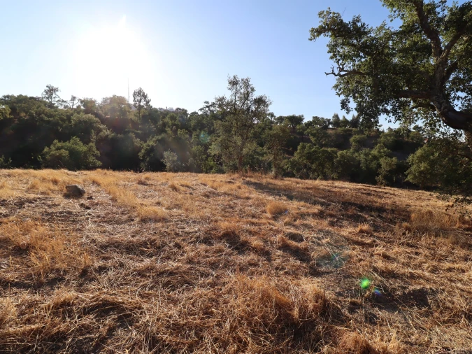 Terreno para Venda em Salir Foto 21