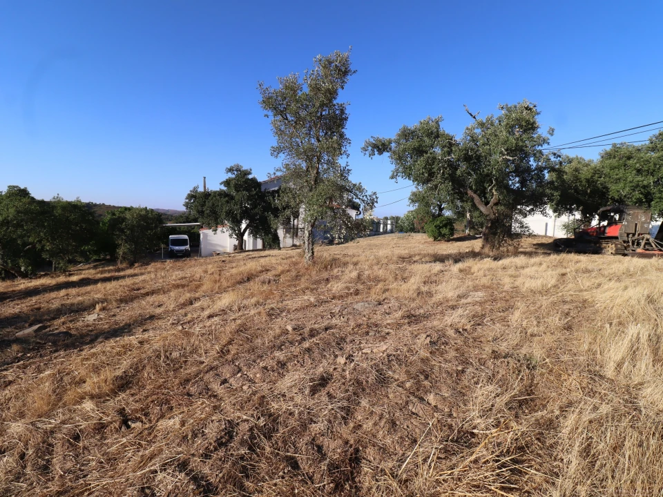 Terreno para Venda em Salir Foto 32