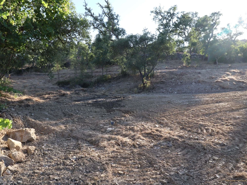 Terreno para Venda em Salir Foto 17