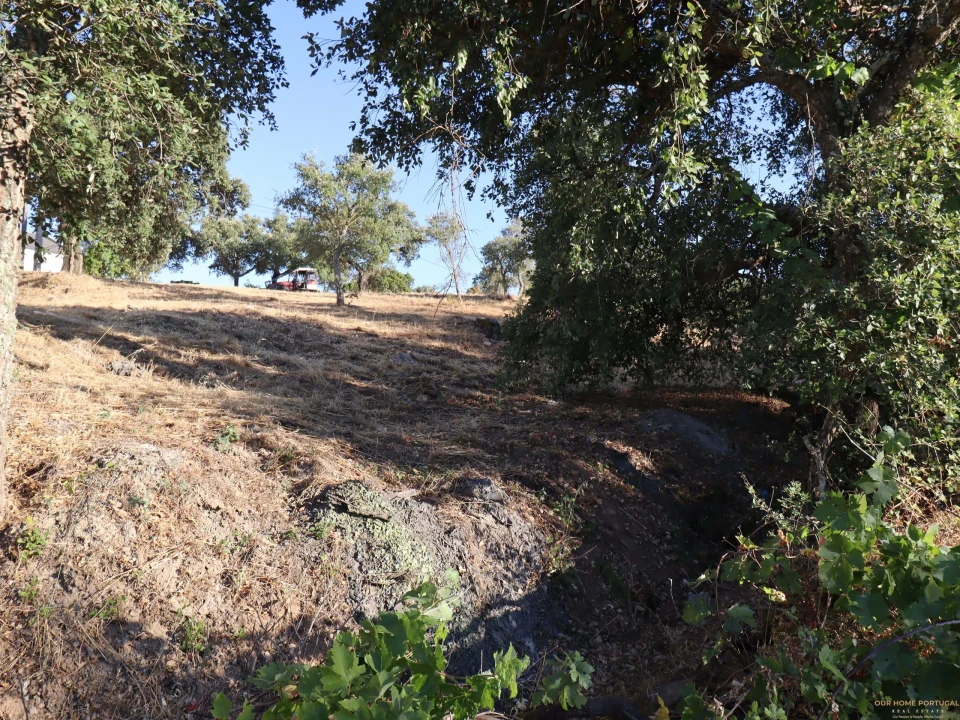 Terreno para Venda em Salir Foto 18