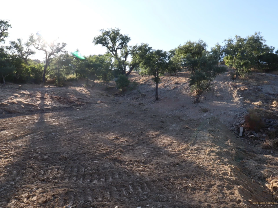 Terreno para Venda em Salir Foto 12